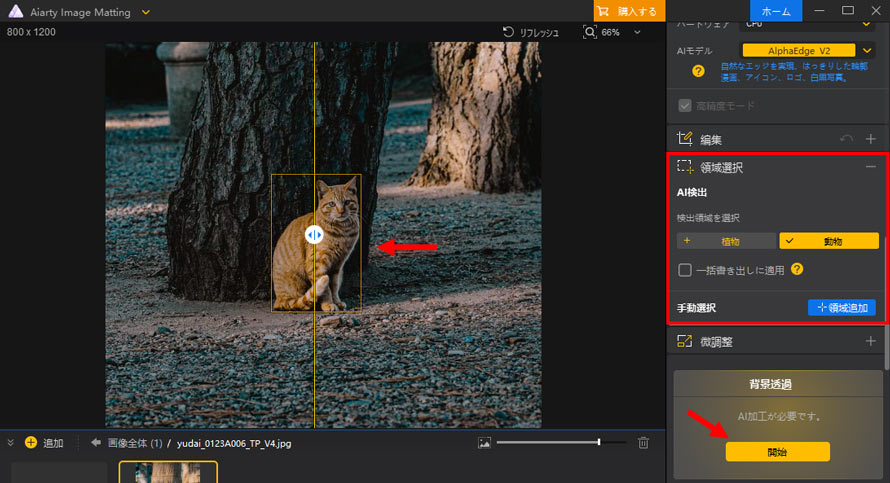 Aiarty Image Matting�ŉ摜�̈ꕔ���ڂ���