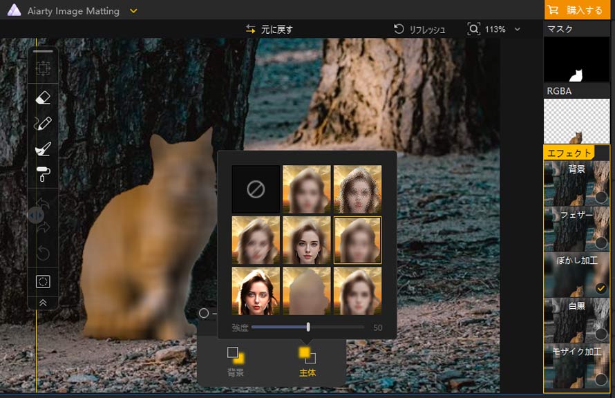 Aiarty Image Matting�ŉ摜�̈ꕔ���ڂ���
