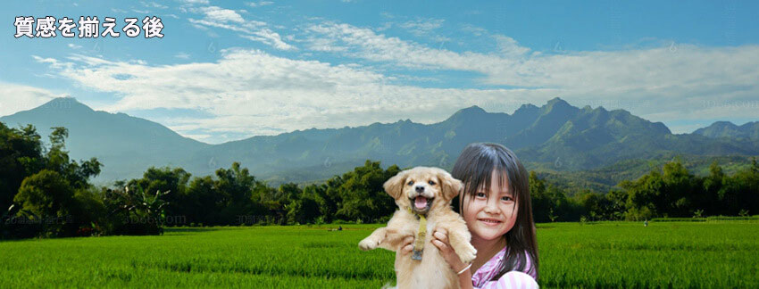 �����𑵂����