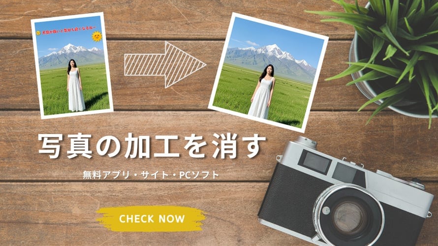 �ʐ^ ���H ����