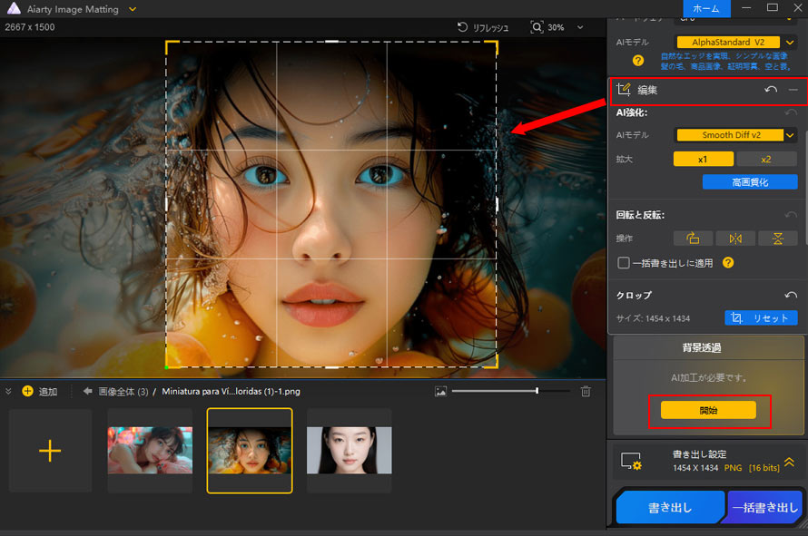 Aiarty Image MattingFPDF̃g~O@