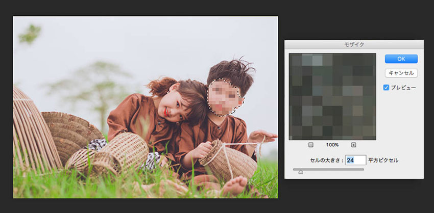 Photoshop�F�摜�̈ꕔ�Ƀ��U�C�N��������菇
