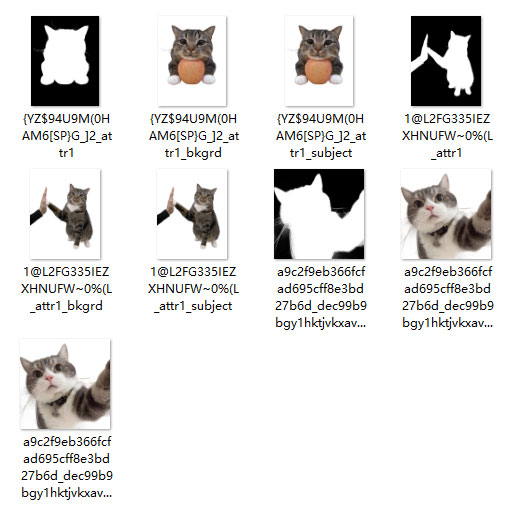 Aiarty Image Matting摜ꊇ؂蔲