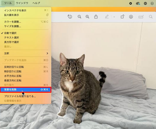 Macのプレビューを使って、画像から背景を削除する手順1
