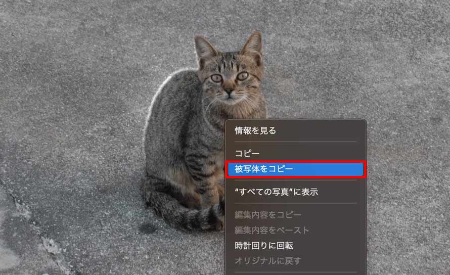 Mac�̎ʐ^�A�v���Ŕw�i���߂��s�����@