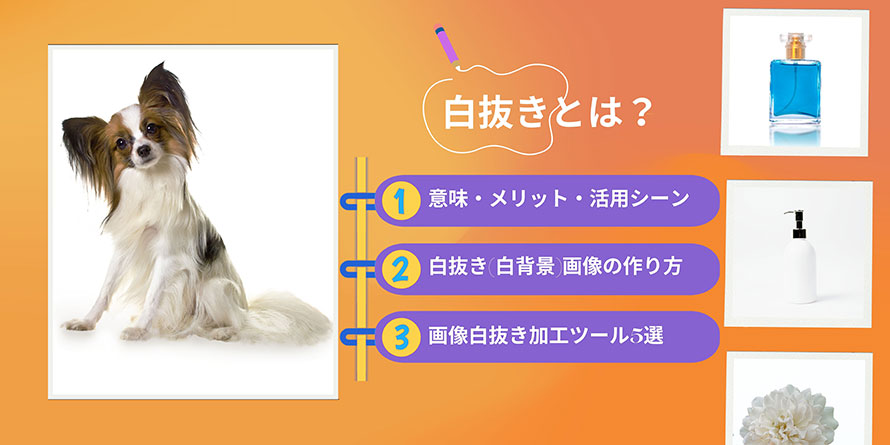 白抜きとは