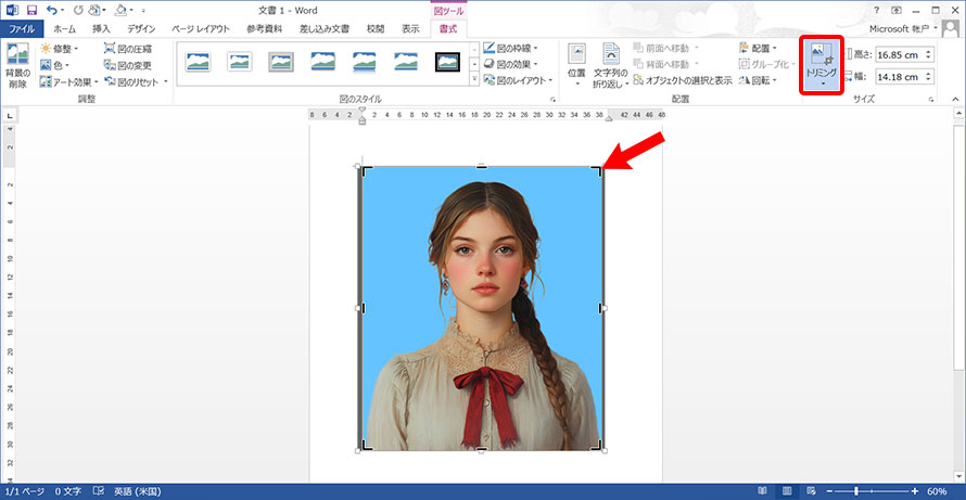 WordŎʐ^ؖʐ^̃TCYɂ菇AB