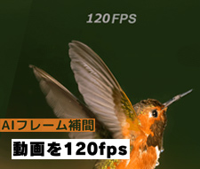 ���� 120fps��