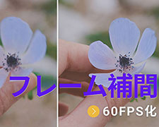 ���� 60fps��