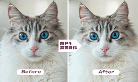 MP4 掿