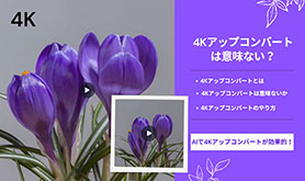 4KAbvRo[g͈ӖȂ
