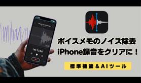 �{�C�X���� �m�C�Y����