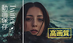 Twitter����̉掿������