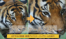 �A�b�v�X�P�[���Ƃ�