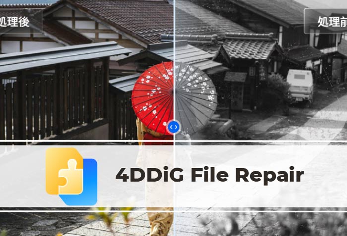 fJ[AIc[F4DDiG File Repair
