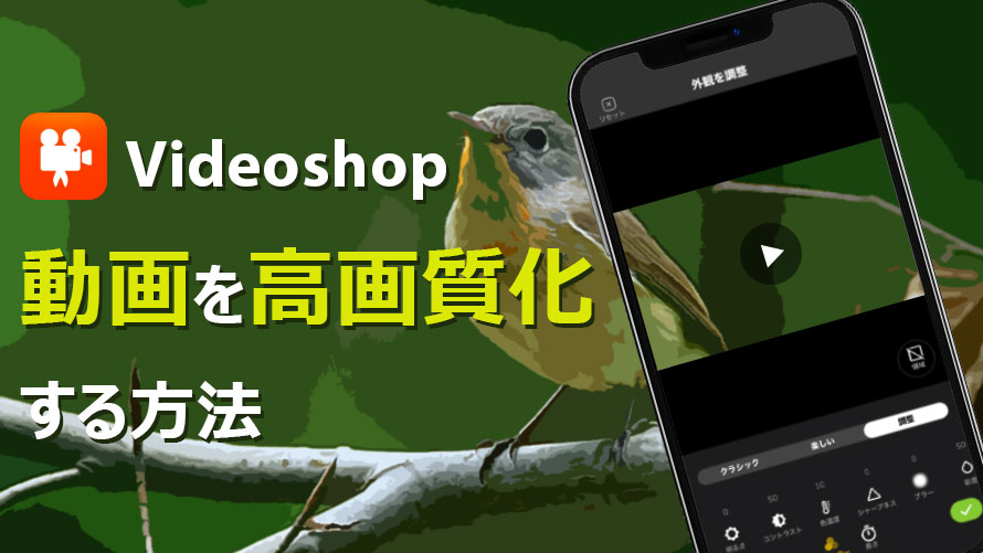 Videoshopで動画を高画質化する方法