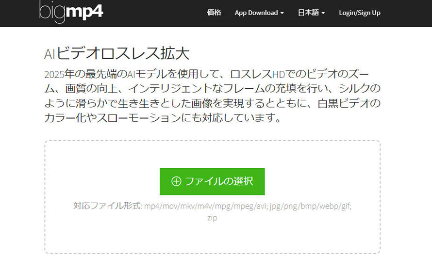 フレーム補間で動画を60fps化:bigmp4