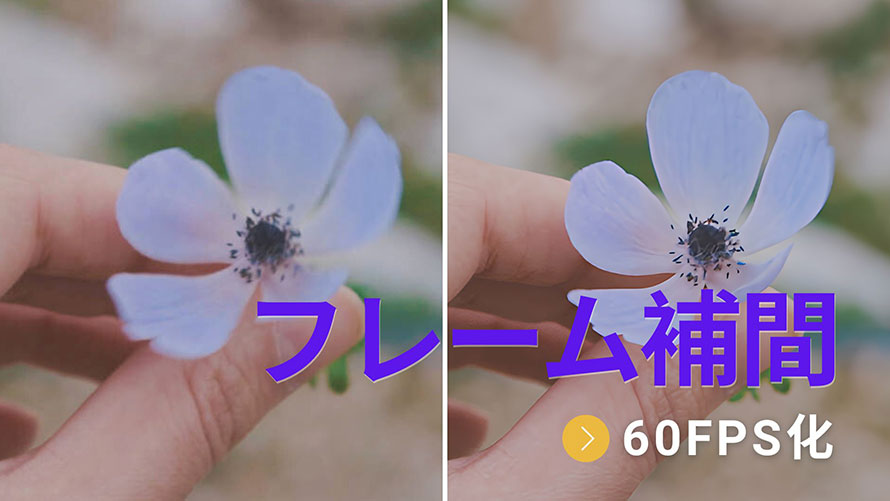 フレーム補間60fps