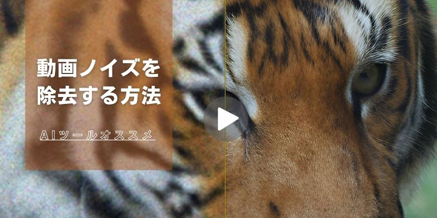 動画ノイズ除去