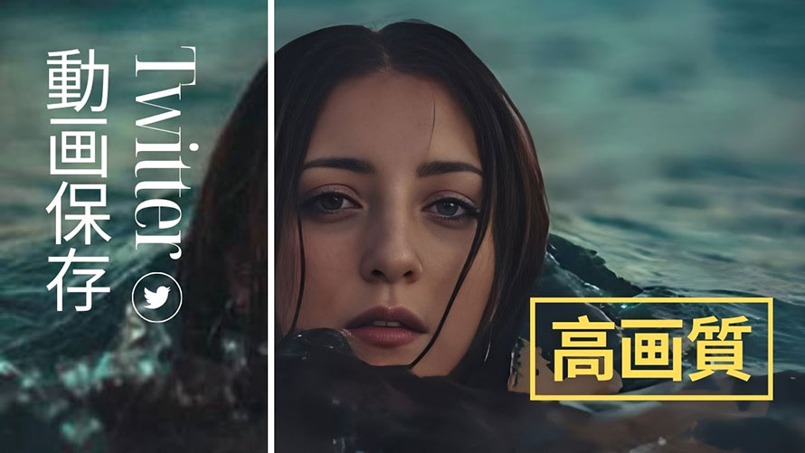 Twitter����ۑ� ���掿