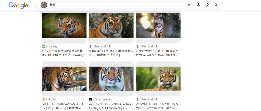 動画の高さと幅が足りない時の解決方法A動画検索エンジンで高解像度版の動画を探す