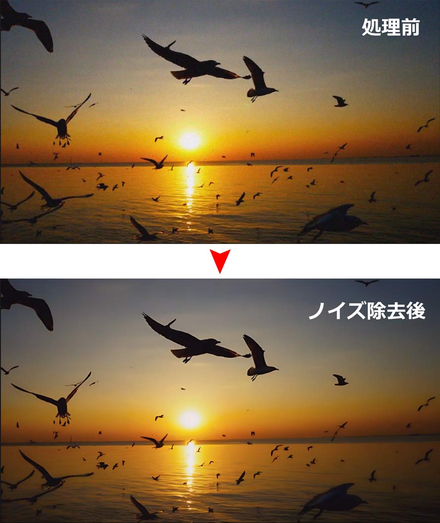 ��������掿��������@�F�m�C�Y����