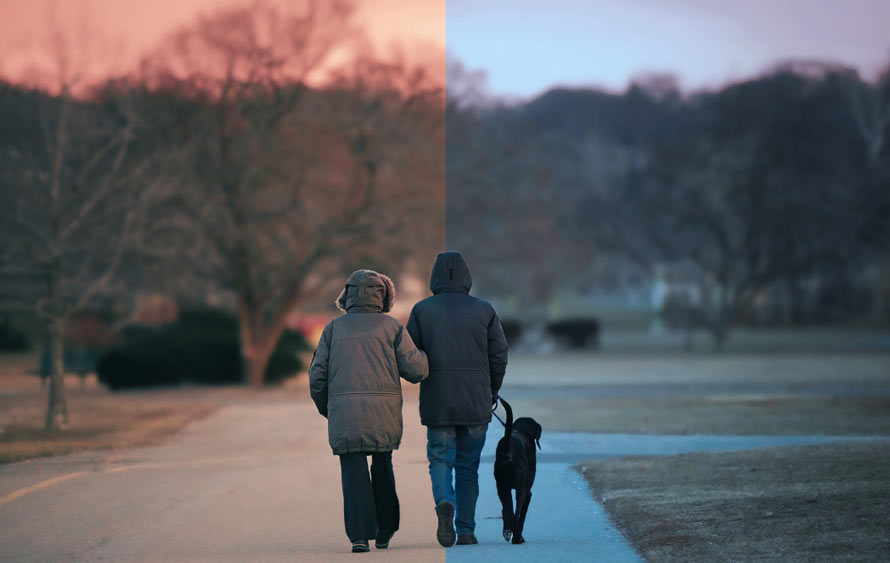 �J���[�O���[�f�B���O�̌���